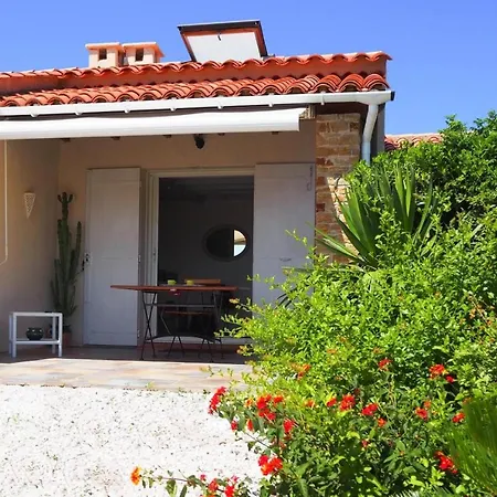 Terraced House - Caz01506-i