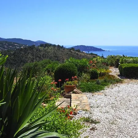 Terraced House - Caz01506-i Le Lavandou